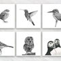 Bird Luxury Greeting Card Bundle, thumbnail 1 of 7