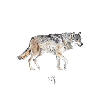 Wolf Personalised Watercolour Fine Art Print, 2 of 3