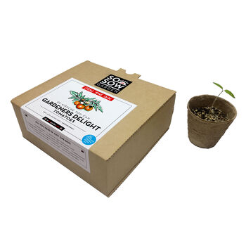 Gardeners Delight Tomato Grow Your Own Kit, 3 of 6