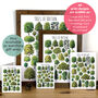 Trees Of Britain Wrapping Paper Set, thumbnail 10 of 10