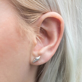 Sterling Silver Shell Stud Earrings, 2 of 8