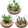 Three Sets Of Small Artificial Fake Succulent Plants, thumbnail 5 of 6