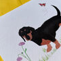 Darcy The Dachshund Illustrated Blank Greeting Card, thumbnail 6 of 10