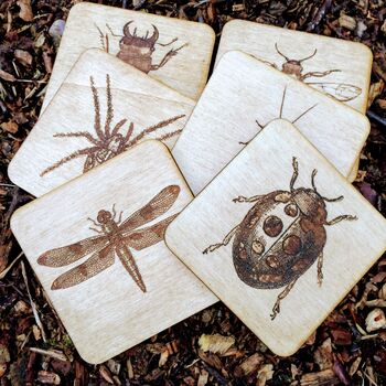 Wooden Bug Coasters, 3 of 7
