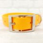 Waterproof Dog Collar And Lead Set Peach, thumbnail 2 of 3