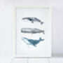 Whale Trio Art Print, thumbnail 2 of 4