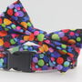 Multicoloured Confetti Dog Bow Tie, thumbnail 10 of 11