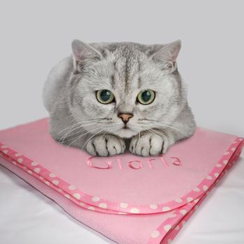 Personalised Cat Blanket, 6 of 12