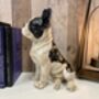 26cm Black And White French Bulldog Figurine Ornament, thumbnail 4 of 9