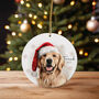 Personlaised Dog Breed Christmas Bauble, thumbnail 1 of 10