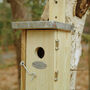 Handcrafted Wooden Wren Nesting Box – Fsc Pinewood, thumbnail 2 of 4