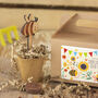 Sunflower Seed Kit, Grow Your Own, Kids Party Bag, thumbnail 2 of 3