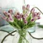 Artificial Tulips, thumbnail 4 of 8
