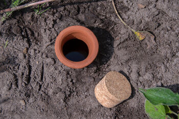 Terracotta Olla Irrigation Pot Watering Reservoir H32cm, 3 of 4