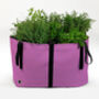 The Green Bag Reusable Planter, thumbnail 2 of 5