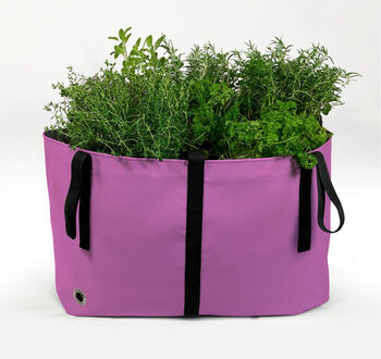 The Green Bag Reusable Planter, 2 of 5