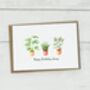 Personalised House Plant Greetings Card, thumbnail 2 of 5