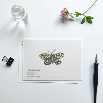 ‘Butterflies’ Set Of Hand Illustrated Postcards, 2 of 6