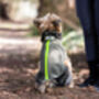 Yorkshire Terrier Polartec Dog Coat, thumbnail 3 of 5