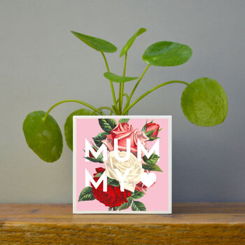'Mummy' Mother's Day Plant Pot And Houseplant, 4 of 7