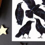 Crows Wildlife Watercolour Postcard, thumbnail 8 of 9