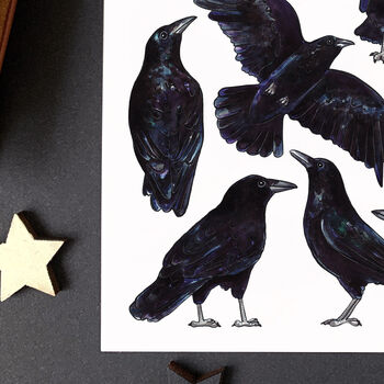 Crows Wildlife Watercolour Postcard, 8 of 9