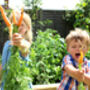 Kids Vegetable Growing Seed Kit, thumbnail 3 of 3