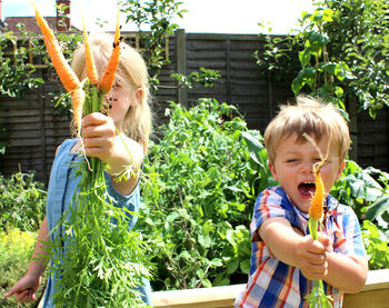 Kids Vegetable Growing Seed Kit, 3 of 3