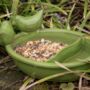 Ceramic Bird Bath/Feeder, thumbnail 1 of 3