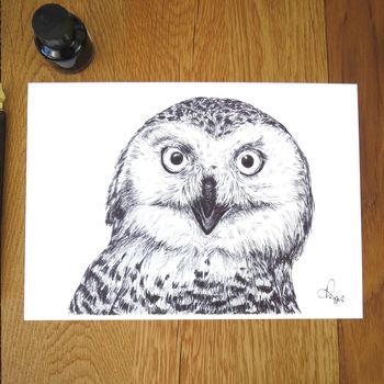 Snowy Owl Pen And Ink Illustration Framed Print, 2 of 3