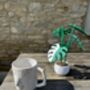 Monstera Variegata Plant With Six Leaf Coasters, thumbnail 4 of 11