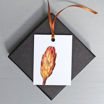 Gift Tags With Dried Protea Bud Illustrations, 4 of 4