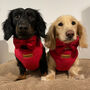 Made To Measure Velour Custom Dog Harnesses, thumbnail 6 of 7