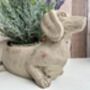 Grey Dachshund Planter Sausage Dog Flower Pot Home Decor, thumbnail 3 of 11