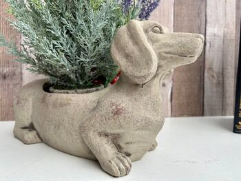 Grey Dachshund Planter Sausage Dog Flower Pot Home Decor, 3 of 11