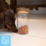 Personalised Sausage Dog Treat Glass Storage Jar, thumbnail 1 of 10