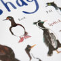 'Shags' Playful Bird Place Mat, thumbnail 3 of 3