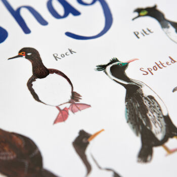 'Shags' Playful Bird Place Mat, 3 of 3