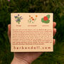 Personalised Seed Kit: Grow Your Own Edible Flowers, thumbnail 10 of 12