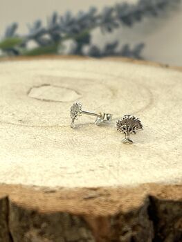 “Meadow Flowers” Sterling Silver Studs In A Bottle, 5 of 6