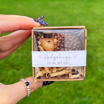 Hedgehog Keepsake Ornament With Gift Box, 2 of 4