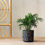 Terracotta Plant Pot Black And White, thumbnail 4 of 4