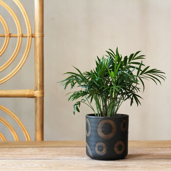 Terracotta Plant Pot Black And White, 4 of 4