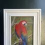 Original Parrot Painting In Frame, thumbnail 1 of 3