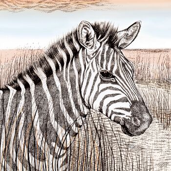 'Zebra' Print, 3 of 3