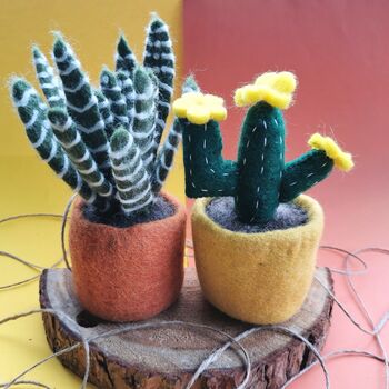 Handmade Felt Fake Plant, Cactus Collection, 5 of 5