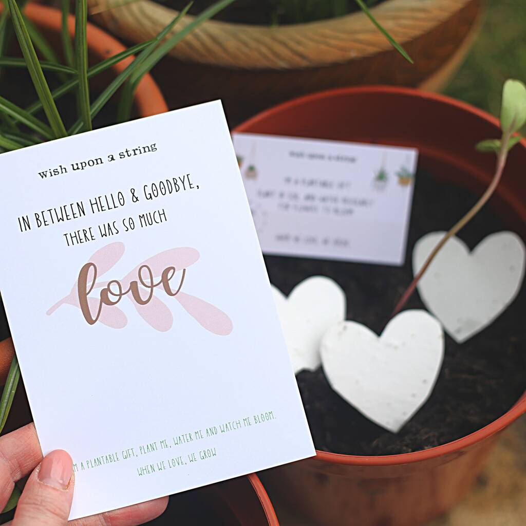 Loss, Grief And Bereavement Gift Plantable Seed Card, 1 of 6