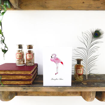 Flamboyance Chilean Flamingo Greetings Card, 5 of 7