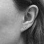 Mini Fish Stud Earrings Sterling Silver, thumbnail 3 of 4