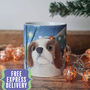 Christmas Dog Mug, thumbnail 1 of 12